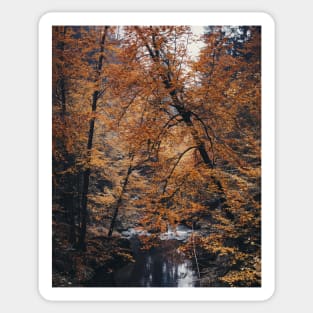 Bohemian Switzerland: Scenic Landscape Photography #1 Sticker